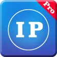 IP地址查询专业版-最好的网址信息查询App