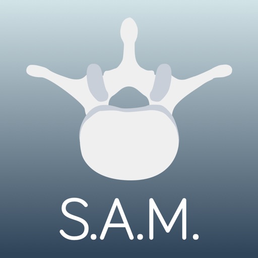 S.A.M. Posture Print S.A.M. Posture Print
