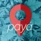 Payá