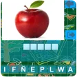 Imad Pics Quiz