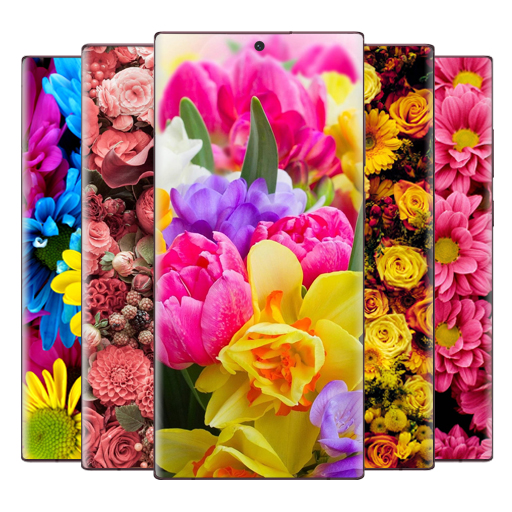 Flower Wallpaper