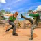 Army Kung Fu Fighting Deadly