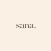 Sana Skin Studio