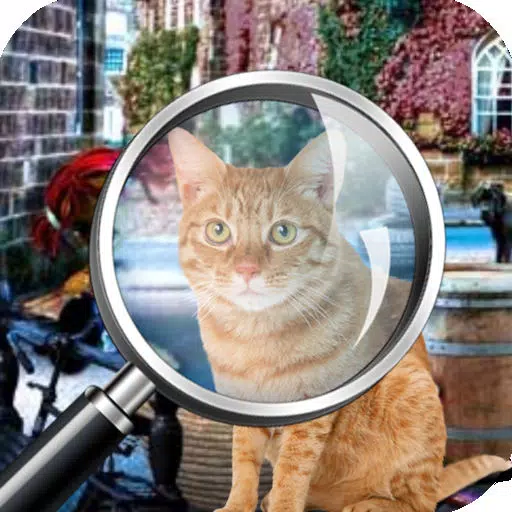 Hidden objects Missing Lulu Hidden objects Missing Lulu