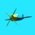 Joy Flight