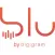 blu radio