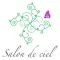 salon de ciel