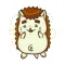 Hans my Hedgehog