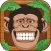Rolling Monkey