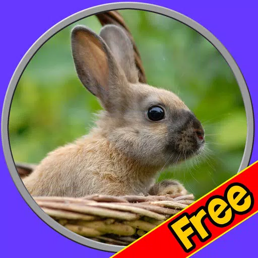 beautiful amazing rabbits for kids free beautiful amazing rabbits for kids free