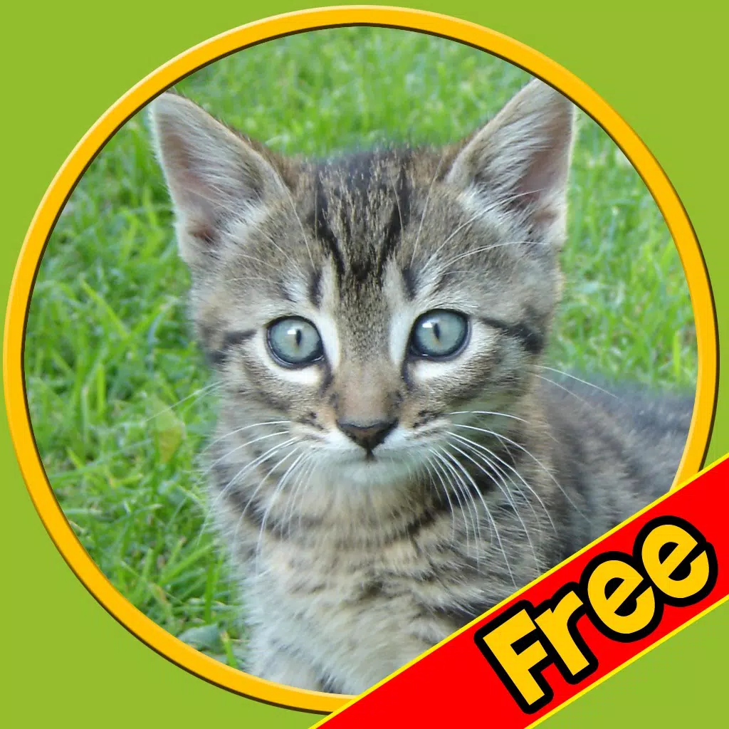 captivating cats for kids - free captivating cats for kids - free