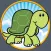fantastic turtles pictures for kids - no ads