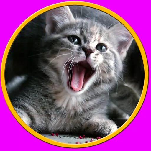 friendly cats for kids - no ads friendly cats for kids - no ads