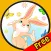 splendid rabbits for kids - free