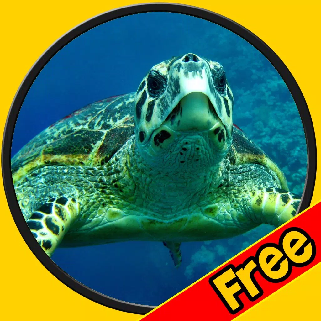 verry funny turtles for kids free verry funny turtles for kids free