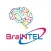 BraINTEL Puzzle