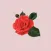 Rose Flowers - Stickers for iMessage