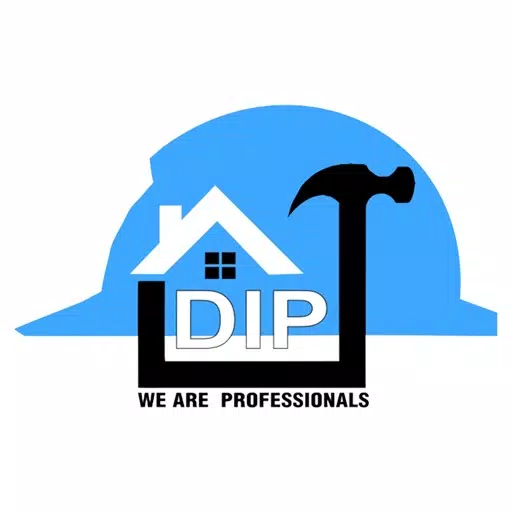 DIP Partner DIP Partner