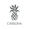 Cariloha Comfort Base