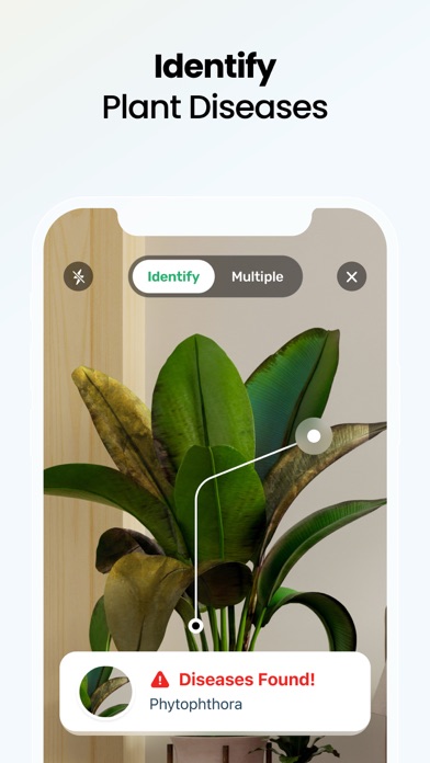 Plant App: Plant Identifier Screenshots