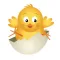 ChickyPack
