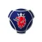 Your Scania Interlink