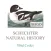 ABA/AOU Bird Codes