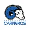 Carneros