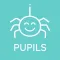 School Spider Pupils