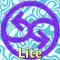 Pattern Bliss Lite