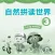 牛津自然拼读世界3级 -英语启蒙发音工具