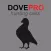 REAL Dove Sounds and Dove Calls for Bird Hunting!