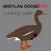 REAL Greylag Goose Hunting Calls + Greylag Goose CALLS & Greylag Goose Sounds!