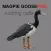REAL Magpie Goose Calls - Hunting Calls for Magpie Geese - BLUETOOTH COMPATIBLE