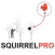 Squirrel Hunting Strategy - Squirrel Hunter Plan