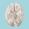 Cerebrovascular & Stroke: WTD