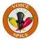Voice Spice Online Recorder