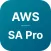 AWS SA Pro Exam Simulator