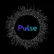 Social Pulse
