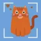 Cat Identifier - Kitty Scanner