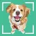 Dog Identifier - Puppy Scanner