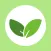 SearchLeaf Cross-Referencing Thesaurus