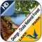 George - Ocala offline chart for lake & park trail