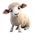 Pay Ewe