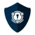 Secure Web VPN