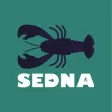 Sedna Dashboard