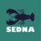Sedna Dashboard