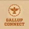 Gallup Connect