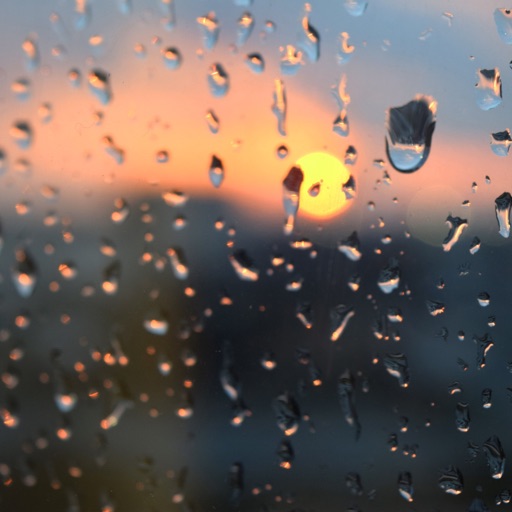 Rainy Sound Rainy Sound