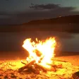 Nature Sounds of the night Nature Sounds of the night